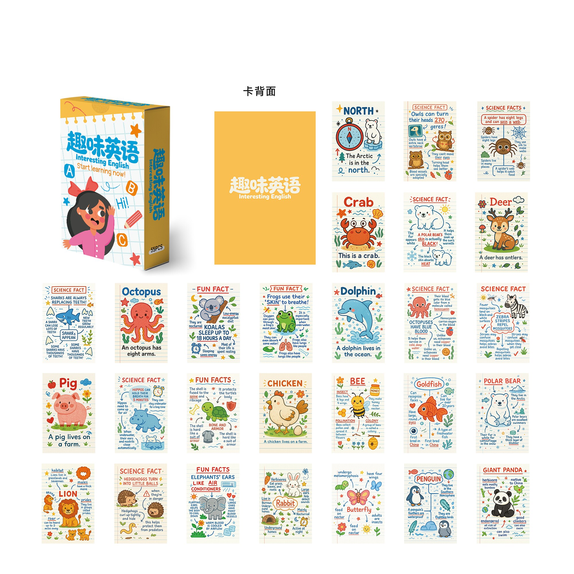 儿童启蒙英语小卡明信片110张