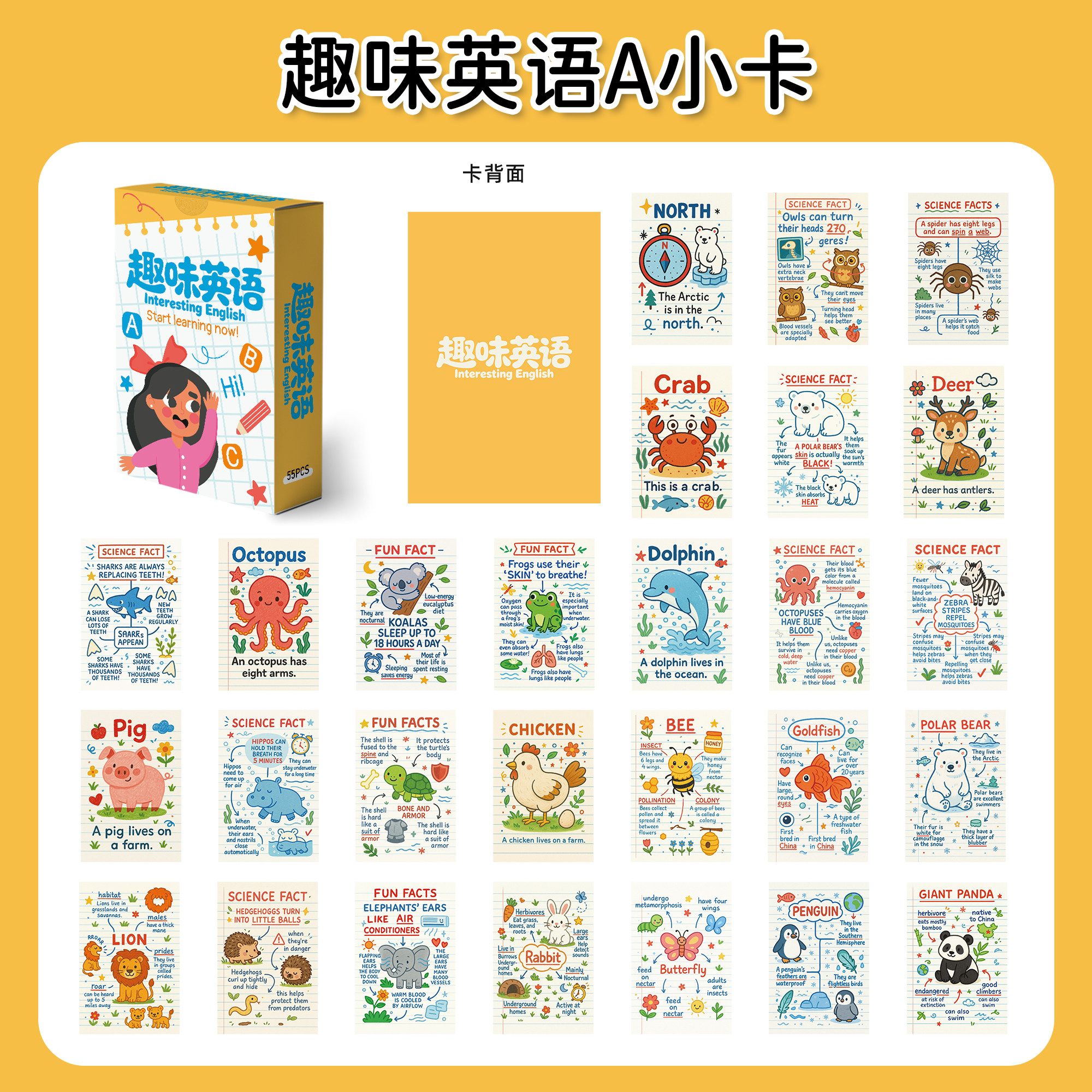 儿童启蒙英语小卡明信片110张