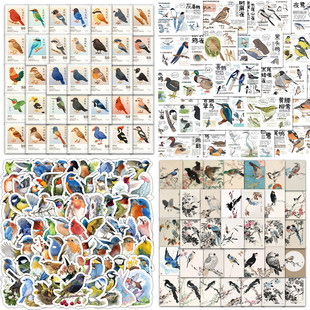 280张鸟类图鉴邮票贴纸diy高颜值水墨插画装饰手账素材防水小贴画