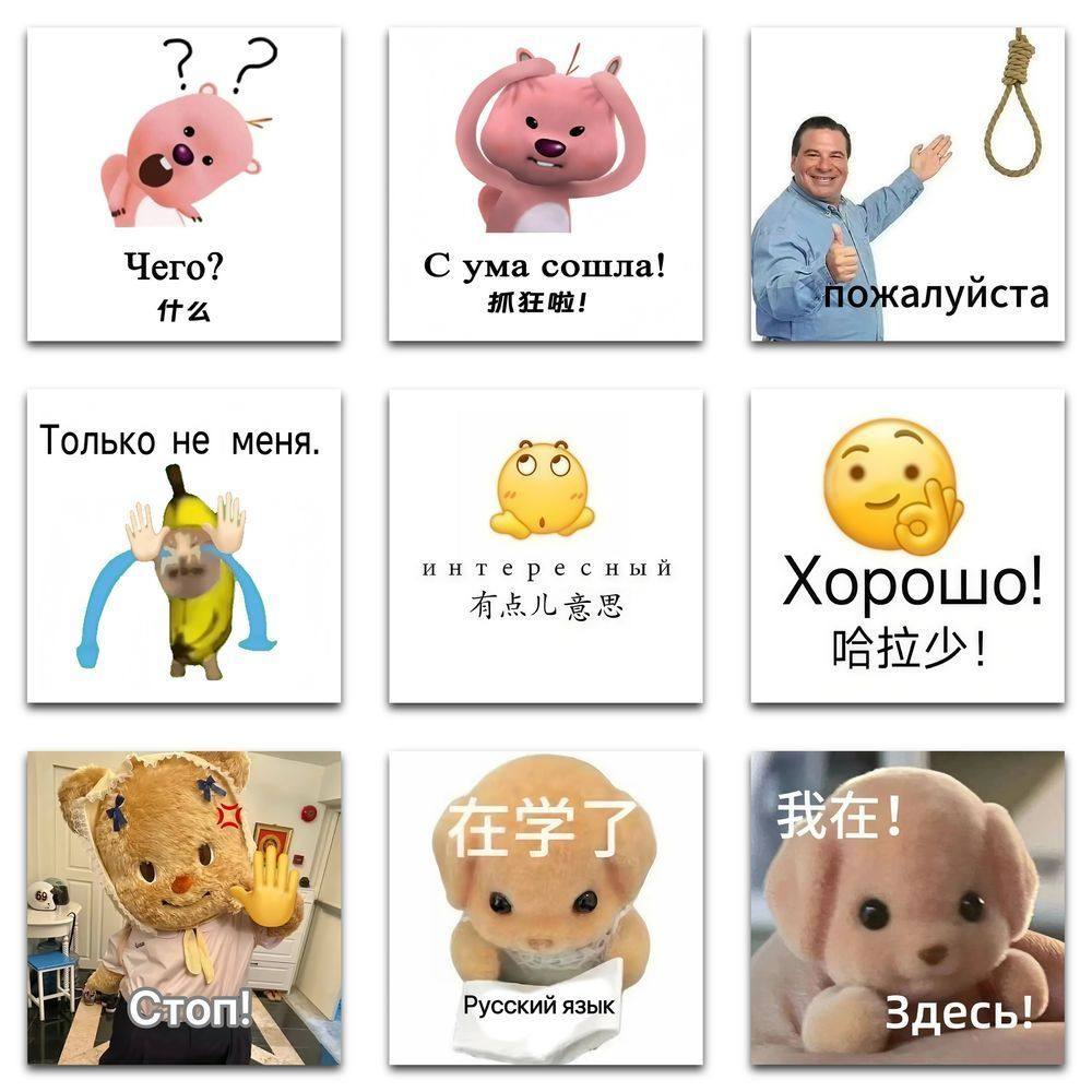 177张跟着表情包学俄语森贝儿猫meme黄油小熊DIY周边手账装饰贴画,文具电教/文化用品/商务用品,贴纸/立体贴纸,淘宝优惠券,粉丝福利购,淘宝优惠卷