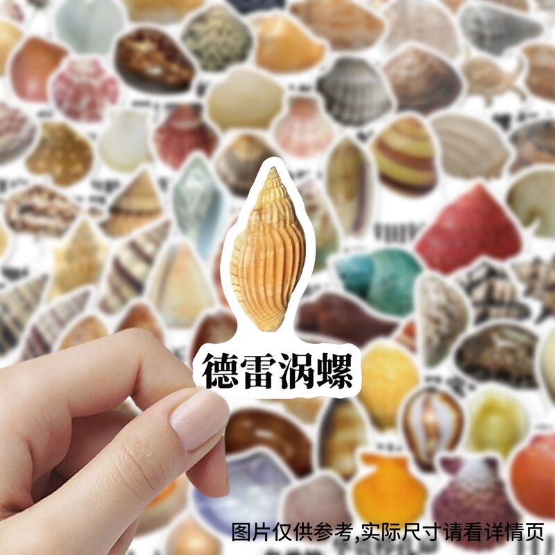 80贴彩色贝壳图鉴手账贴纸
