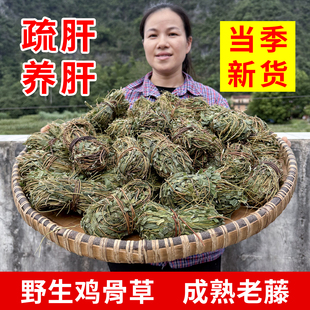 广西野生鸡骨草官方旗舰店护肝茶茶叶中药材片天然茶的功效与作用