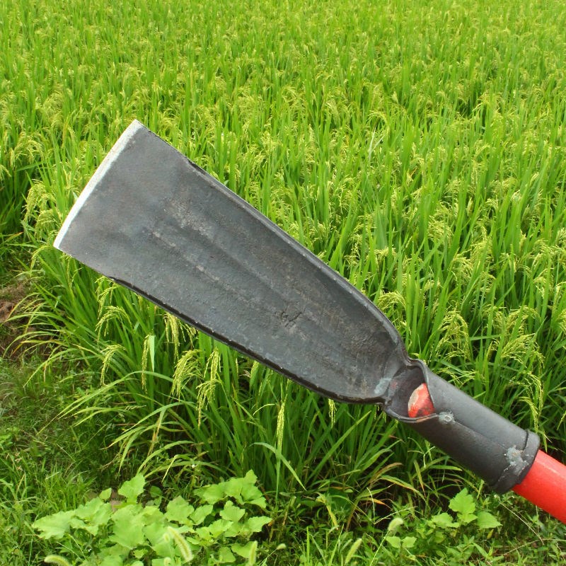 农用锻打加厚挖树铲挖坑神器起树铲子移树根锹挖电杆W洞工具树洞