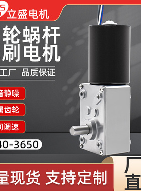 5840-365i0直流无刷减速电机低速大扭力蜗轮蜗杆调速微型电机马达