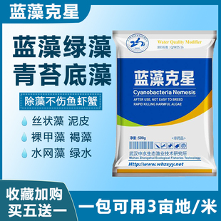 鱼塘虾塘蟹塘速杀蓝藻绿藻裸甲藻丝藻净池塘绿水净化处理杀藻克星