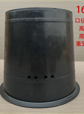 20个装诱蜂j桶加厚黑色塑料桶诱蜂神器圆土蜂桶