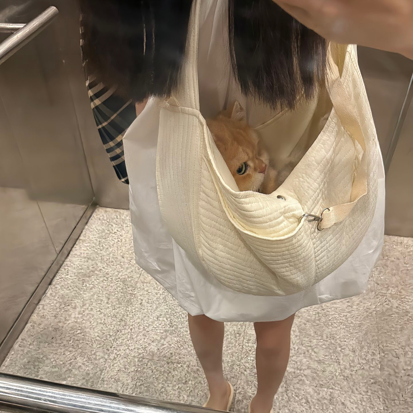 背包斜挎装猫的小型犬帆布包包单肩猫袋猫包外出便携宠物猫咪狗狗