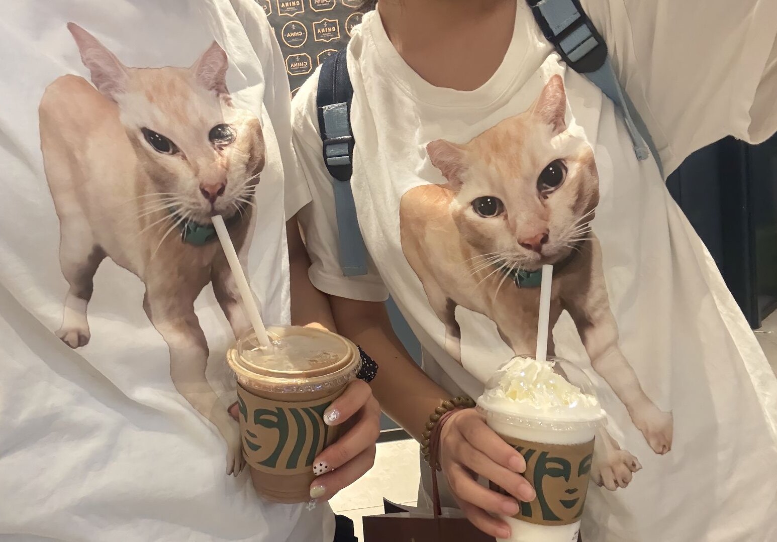 世界上倒数第一可爱的猫丑橘表情包印花男女同款学生搞笑百搭T恤