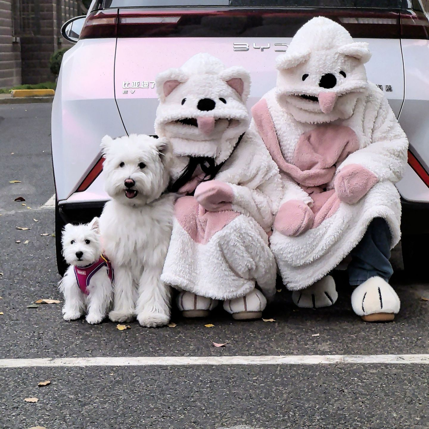 可爱狗狗粉白秋冬季睡袍新款家居服套装可爱卡通搞怪珊瑚绒睡衣女