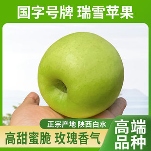 正宗瑞雪苹果陕西白水瑞雪青苹果玫瑰香纯甜无酸脆爽新鲜水果礼盒