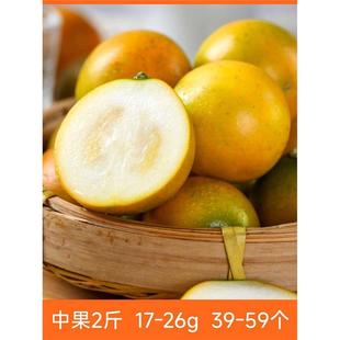 辰颐物语正宗脆蜜金桔广西融安金柑水果直发纯甜第三代大金桔爆汁