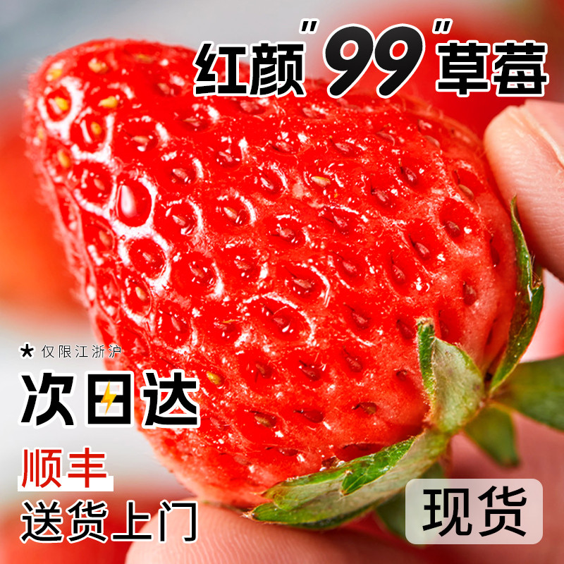 正宗新鲜草莓奶油草莓5斤孕妇水果整箱九九红颜草莓当季99大草莓