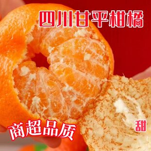 四川眉山特产甘平柑橘皇后新鲜包邮当季整箱孕妇水果甜橘桔子