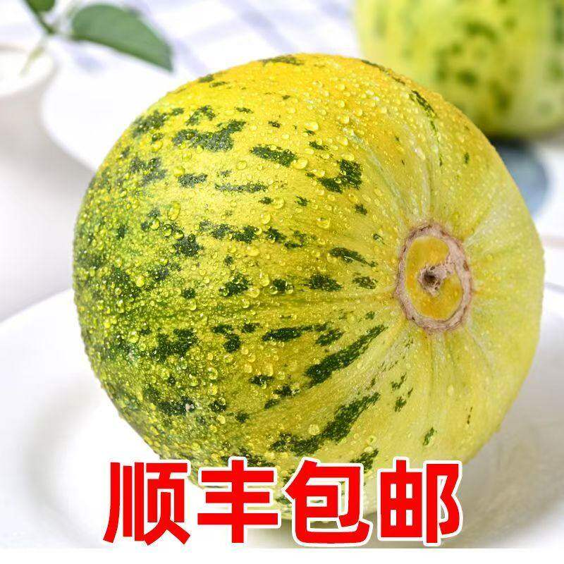 东北八里香花蕾甜瓜新鲜现摘花皮瓜花姑娘应季香甜孕妇水果甜瓜