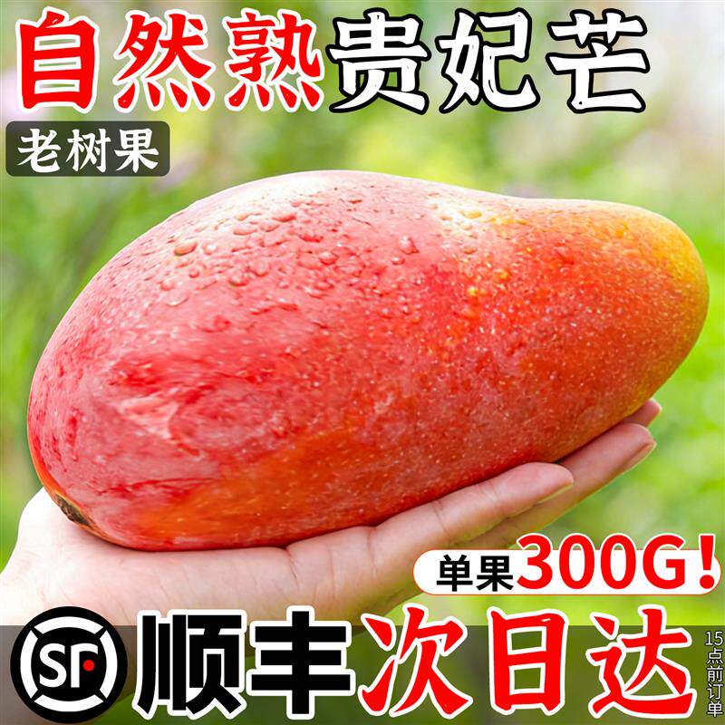 顺丰自然熟贵妃芒果大果8斤新鲜正宗自然熟当季水果台金青甜包邮