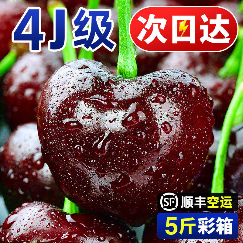 美国大樱桃5斤新鲜水果当季整箱包邮孕妇进口樱桃4j3特大果礼盒装