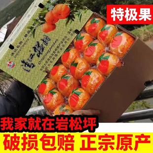 宜昌长阳正宗岩松坪清江椪柑芦柑橘新鲜孕妇水果新鲜采摘产地直发