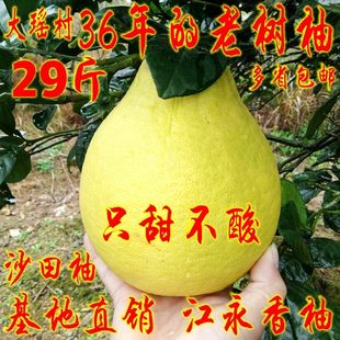 湖南永州江永香柚纯甜沙田柚比梅州容县柚子好吃新鲜水果多省包邮
