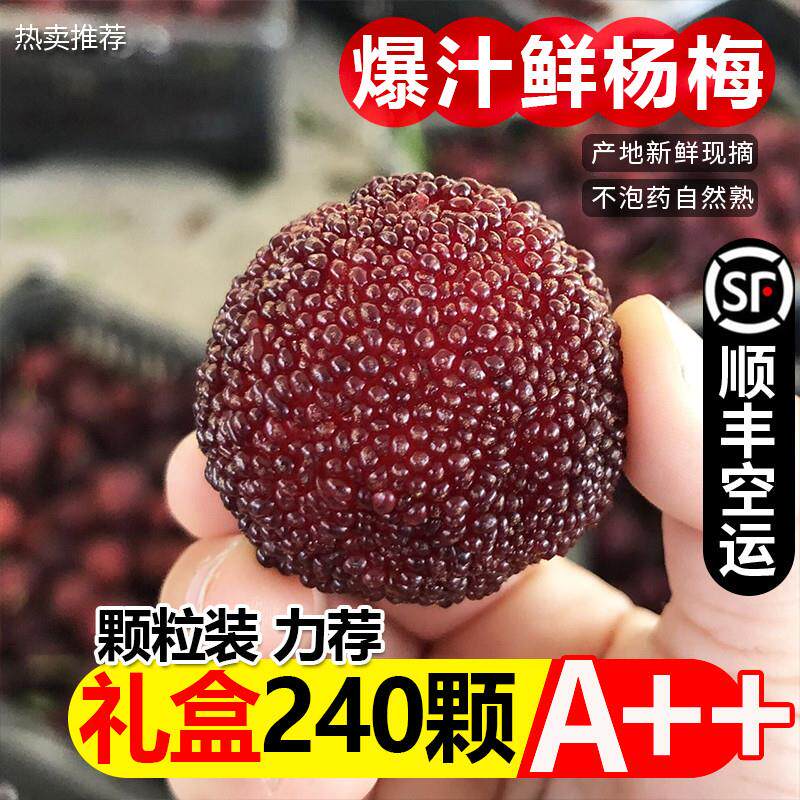 礼盒浮宫杨梅6斤福建荸荠新鲜现摘现发孕妇水果当季整箱包邮顺丰6