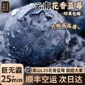 云南蓝莓L25花香顺丰空运孕妇大果新鲜现摘新鲜水果年货送礼整箱