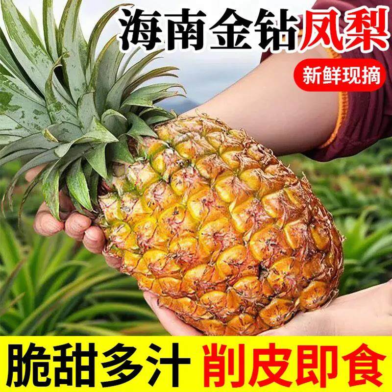 正宗海南金钻凤梨新鲜8斤菠萝整箱新鲜水果风梨当季菠萝