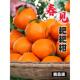 包邮 四川春见耙耙柑正宗新鲜水果当季 丑粑粑八怪桔不橘子知火整箱