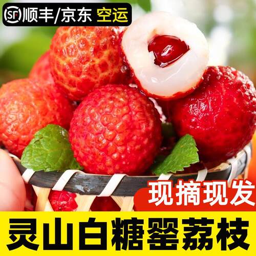 灵山白糖罂荔枝新鲜现摘广西水果当季整箱糯米桂1味妃子0笑顺丰
