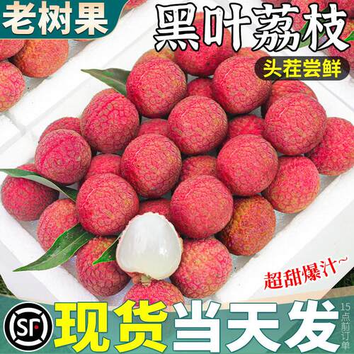 顺丰礼盒福建黑叶荔枝新鲜现摘现发老树果水果当季整箱包邮甜应季