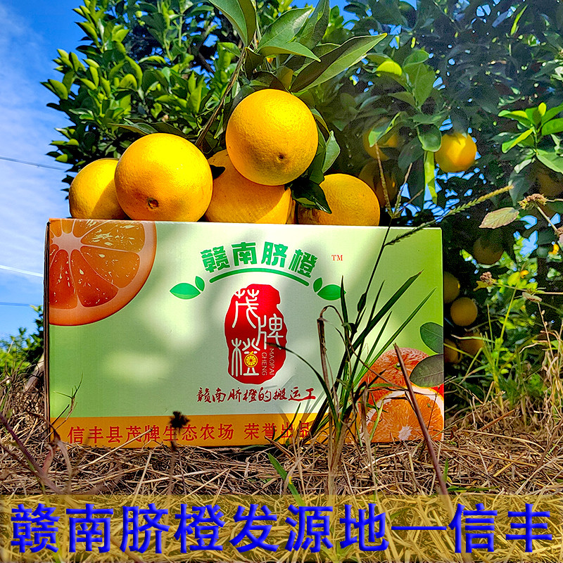 [赣南脐橙]江西赣南脐橙信丰橙子现摘新鲜水果10斤纽荷尔橙子