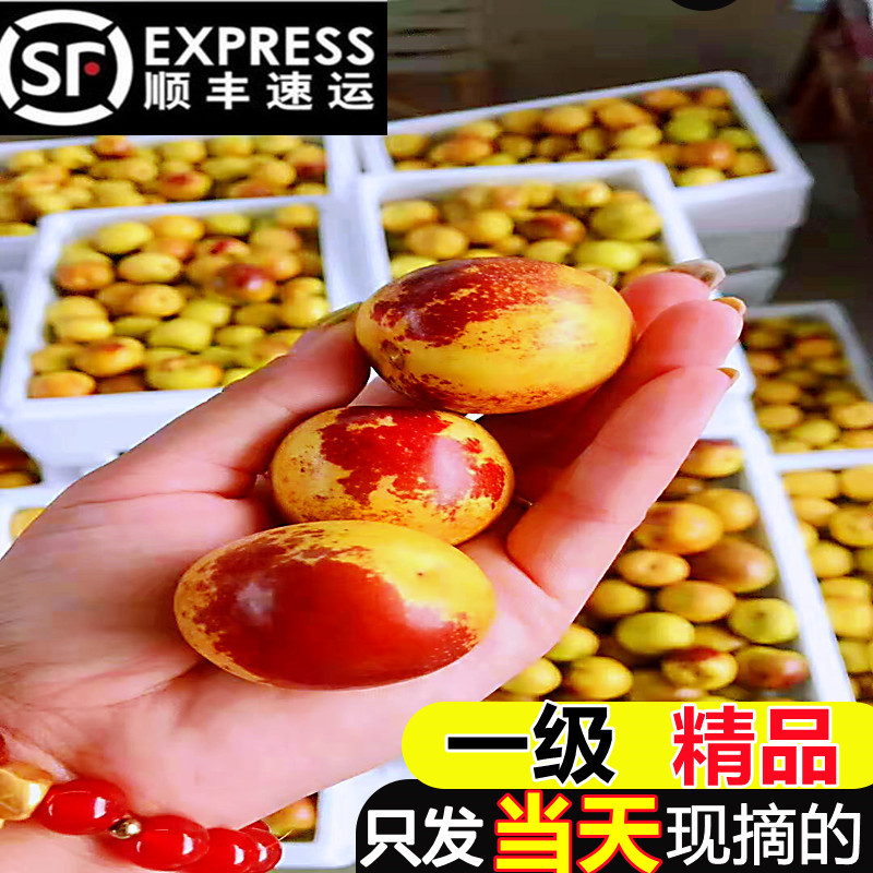 山西现摘新鲜品质冬枣大果特大现货5斤脆枣孕妇水果临猗庙上枣子