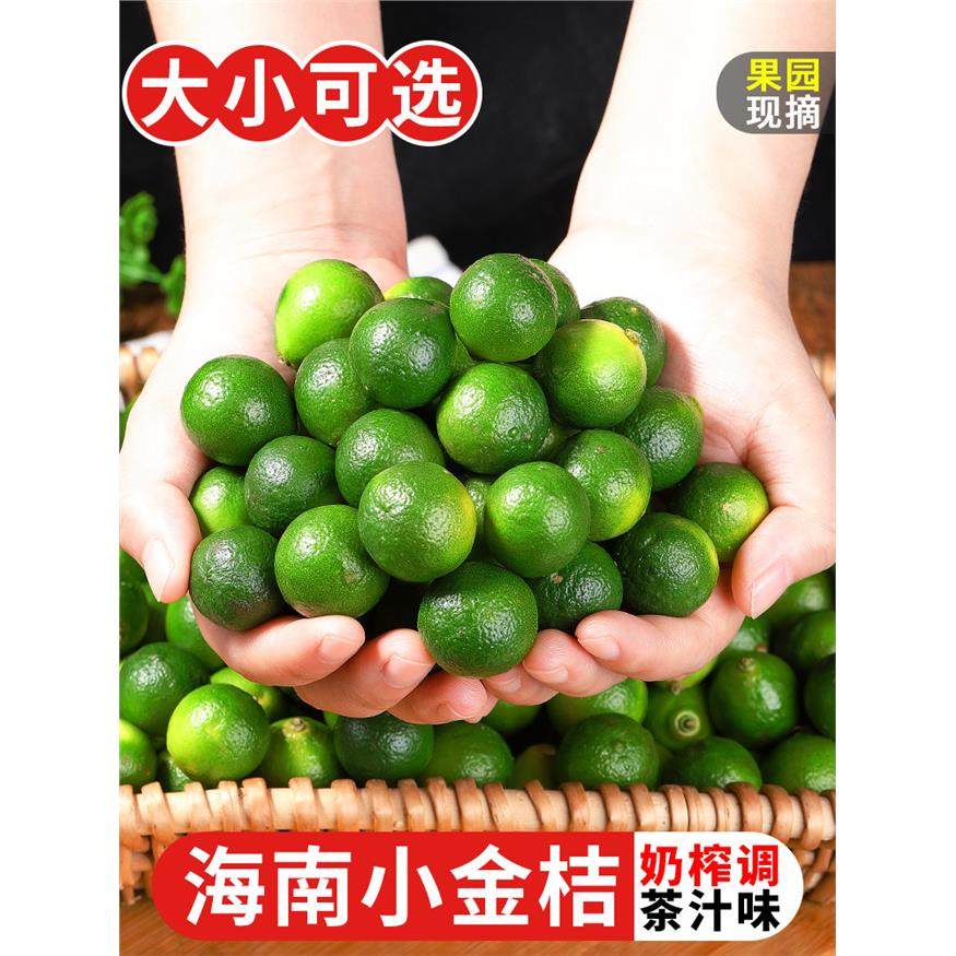海南小金桔新鲜水果5斤当季整箱青金桔柠檬奶茶店专用小青柠包邮1,包装,水果包装,淘宝优惠券,粉丝福利购,淘宝优惠卷