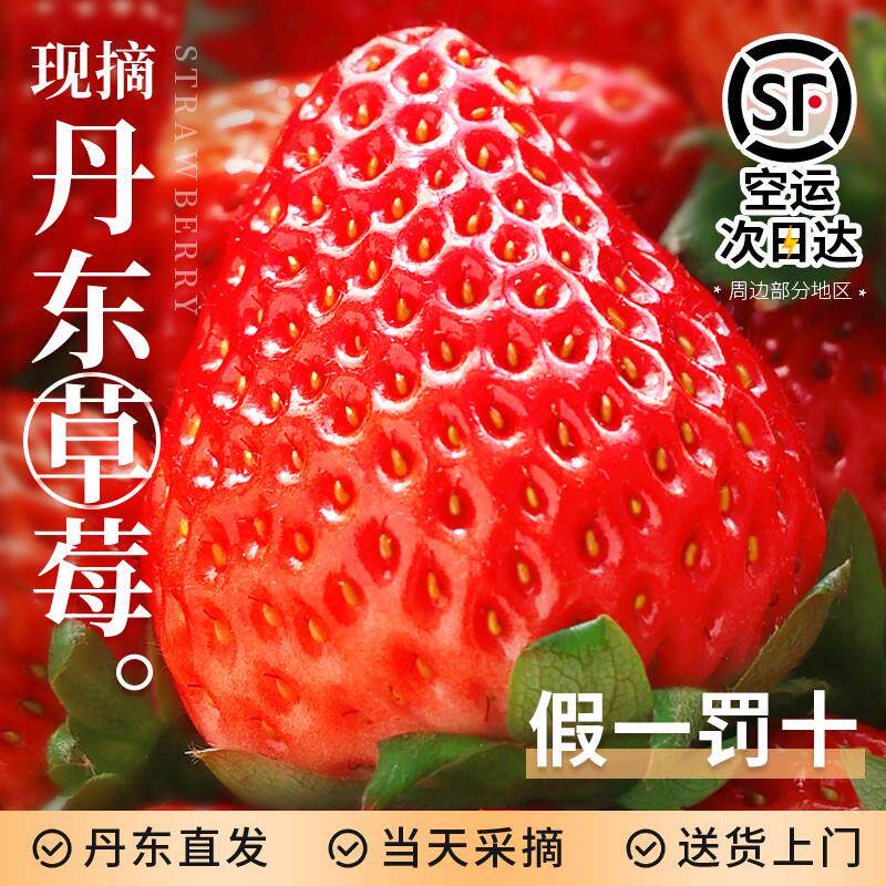 丹东99草莓新鲜水果应当季红颜奶油现货九九牛奶大整箱3顺丰包邮