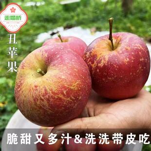 云南宁蒗冰糖心2700米高原又甜又脆果汁多皮薄特大果10斤丑苹果