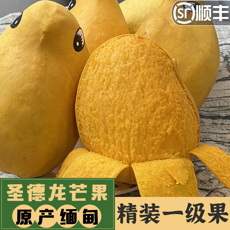 圣德龙芒果新鲜大果9斤缅甸进口品种应季热带水果鹰嘴芒顺丰