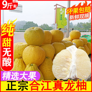 正宗真龙柚精选 四川柚子泸州合江特产 地标金奖纯甜不酸送礼盒装
