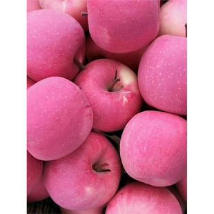 平凉灵台特甜脆苹果新鲜水果10斤甘肃静宁红富士全国整箱包邮