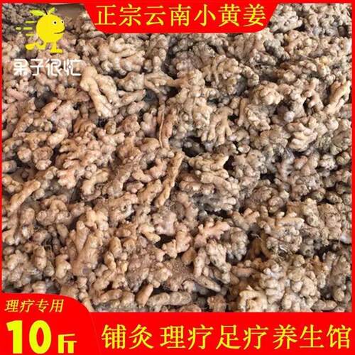 2-3年老姜云南小黄姜老姜10斤生姜母姜黄姜土姜月子姜包邮