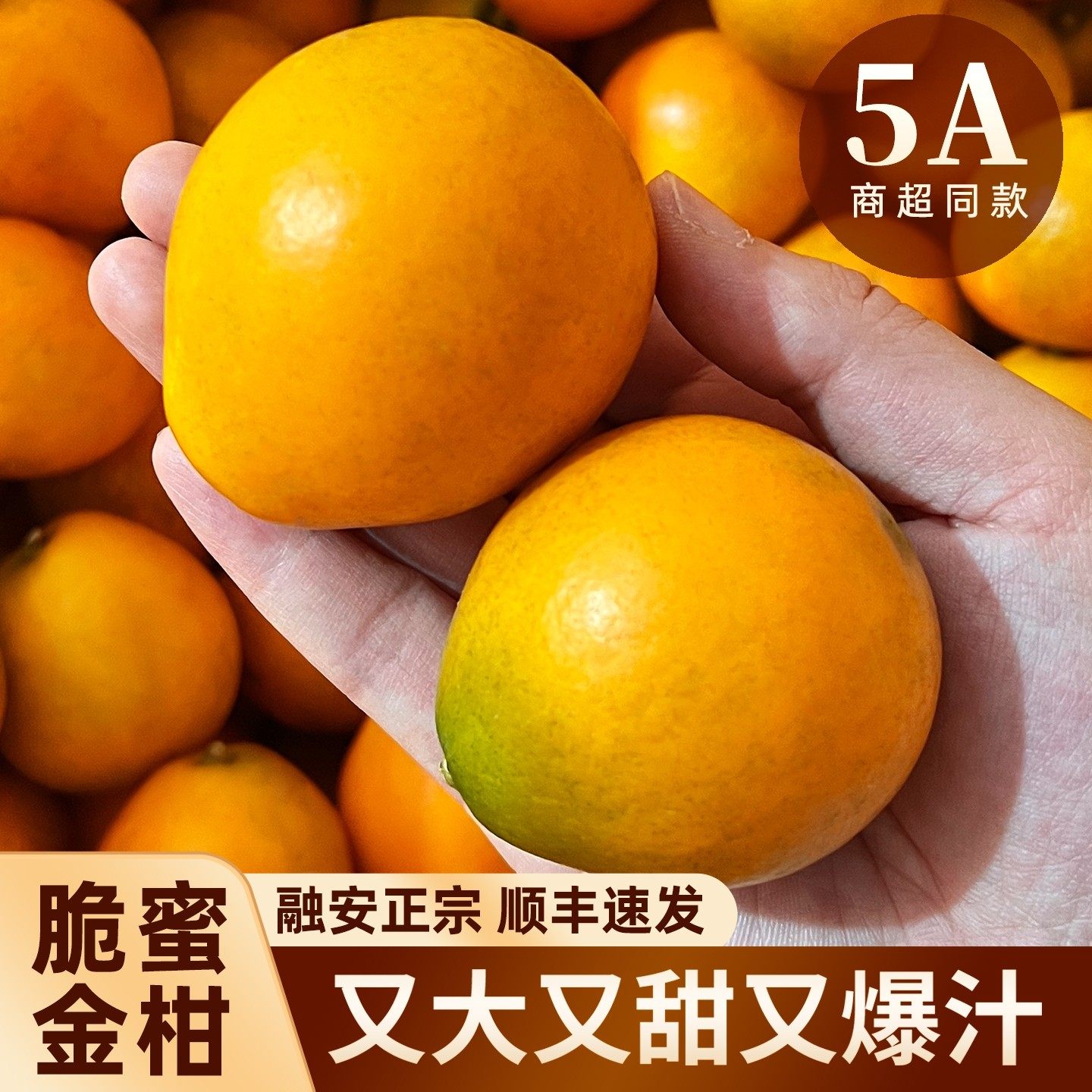 果园直发 脆蜜金柑 正宗广西融安第三代金桔新鲜水果礼盒独立包装,包装,水果包装,淘宝优惠券,粉丝福利购,淘宝优惠卷