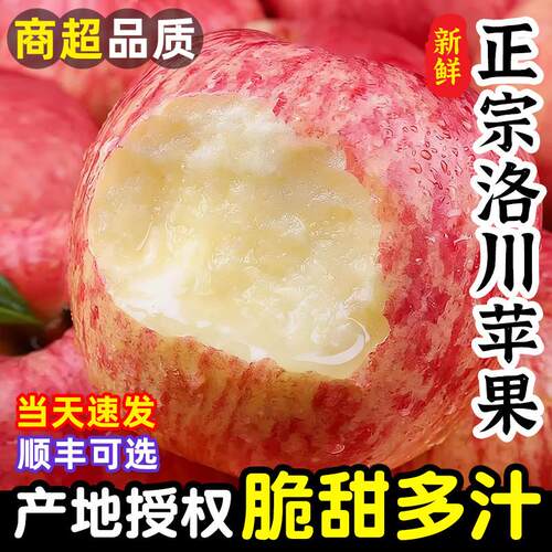洛川苹果陕西正宗产地直发水果新鲜10斤当季整箱礼盒冰糖心红富士