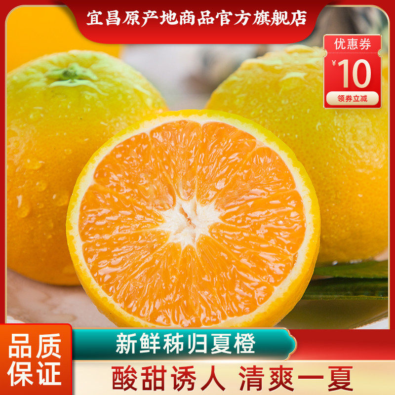 新鲜秭归夏橙大果当季整箱应季水果包邮饮品榨汁橙子酸甜多汁