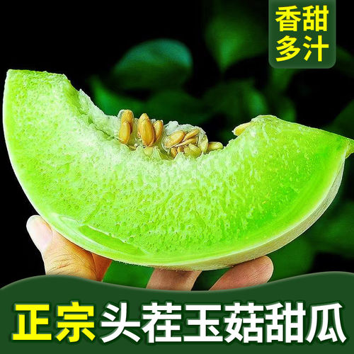 正宗玉菇甜瓜9斤冰淇淋新