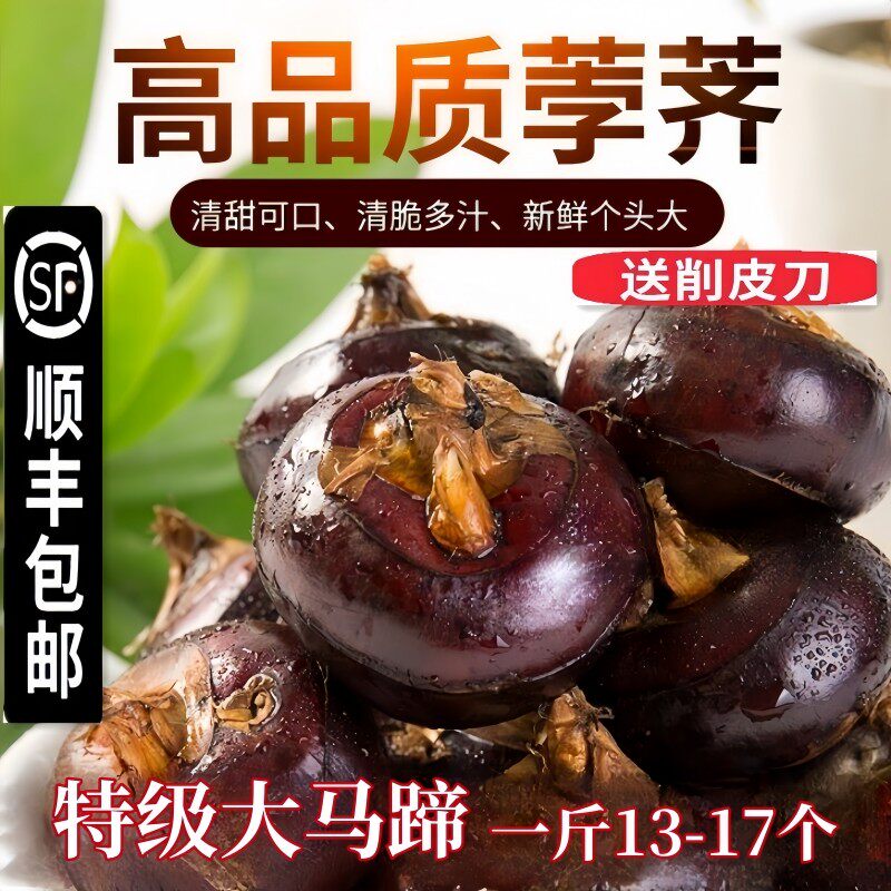 【顺丰包邮】  甄选江南荸荠大马蹄荸荠地梨地栗现挖新鲜农家水果