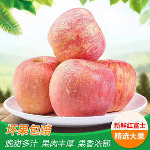 陕西省咸阳市礼泉县田耿家红富士苹果陕西红富士苹果