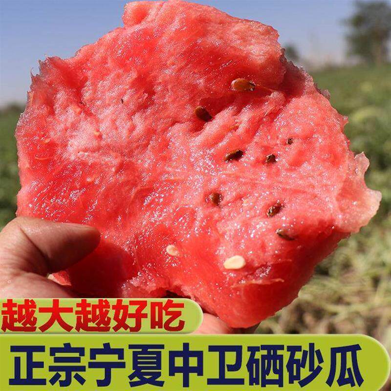 宁夏中卫硒砂瓜当季新鲜水果沙地石头缝西瓜整箱压砂瓜香山沙瓤瓜