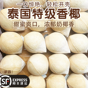 牛奶椰子泰国椰青奶香椰皇奶椰一级香水椰大果芋香新鲜椰青易开