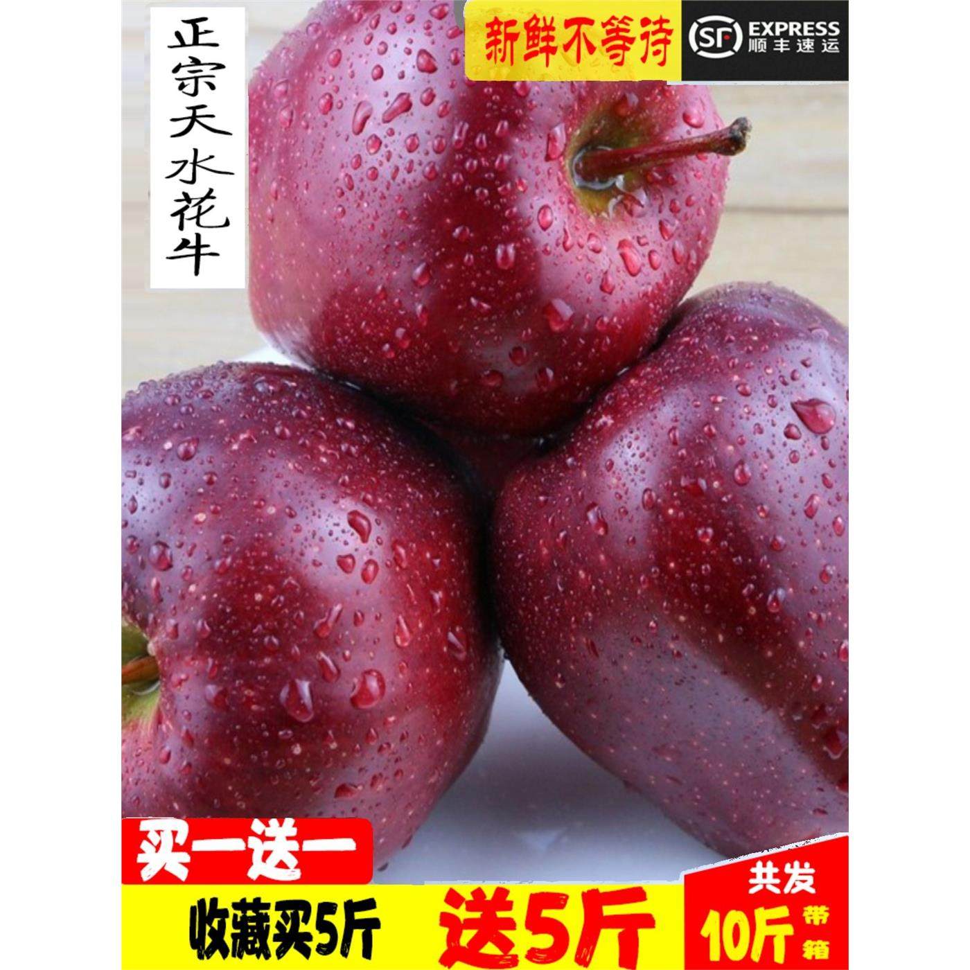 甘肃天水花牛苹果新鲜脆甜水果老人宝宝孕妇刮泥辅食无蜡粉面新果,包装,水果包装,淘宝优惠券,粉丝福利购,淘宝优惠卷