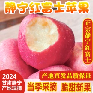 现摘甘肃静宁红富士苹果正宗水果新鲜当季10斤糖心整箱富士2024