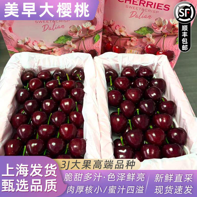 顺丰空运3J美早樱桃大连新鲜脆甜水果当季车厘子包邮整箱礼盒3j大