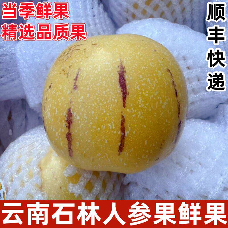 云南石林人参果圆果新鲜应当季水果黄肉熟人生果整箱包邮包装随机