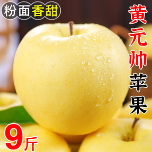 正宗黄元帅苹果9斤新鲜水果应当季粉面黄金帅菸台黄香蕉平果整箱